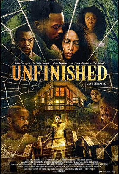 Póster de Unfinished