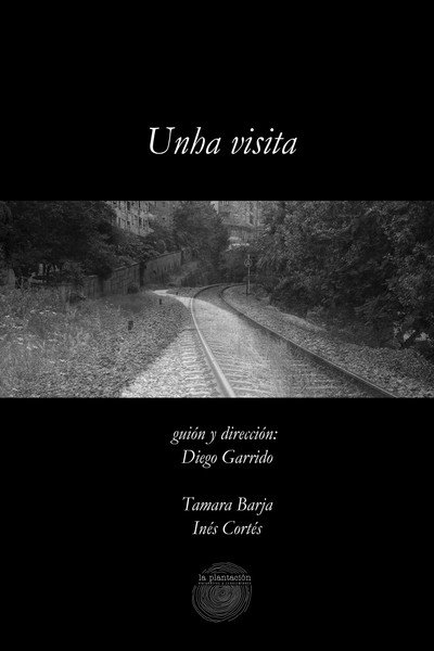 Póster de Unha visita