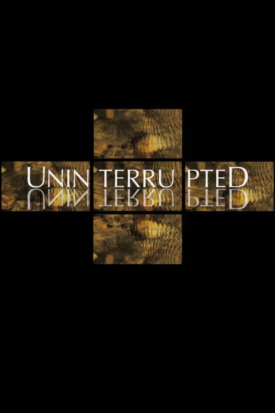 Póster de Uninterrupted