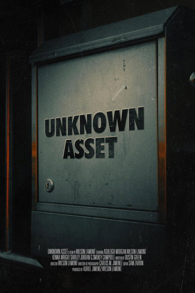 Póster de Unknown Asset