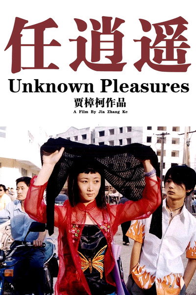 Póster de Unknown Pleasures
