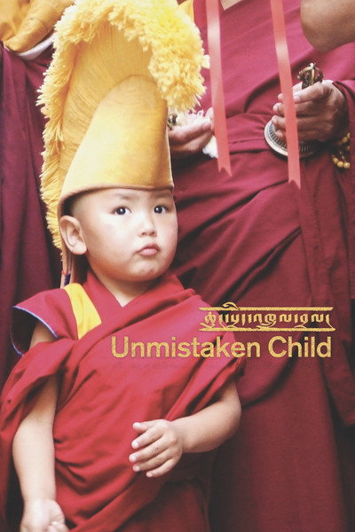 Póster de Unmistaken Child