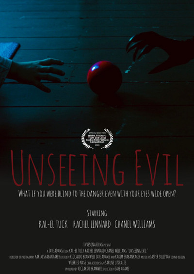 Póster de Unseeing Evil