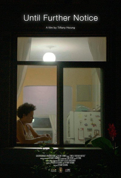 Póster de Until Further Notice