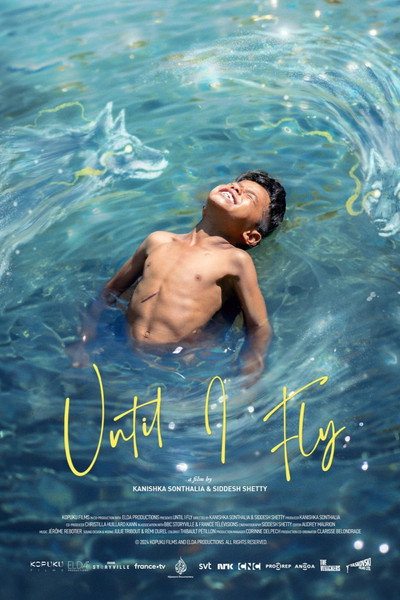 Póster de Until I Fly