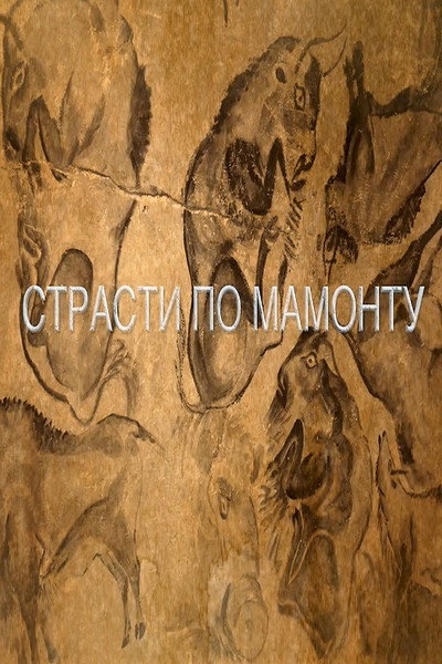 Póster de Untitled Elephants & Illegal Ivory Trade Project