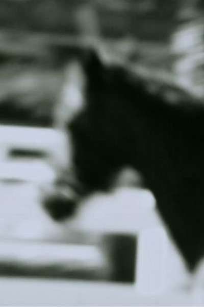 Póster de Untitled: Horse