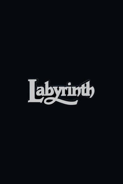 Póster de Untitled Labyrinth Sequel
