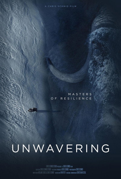 Póster de Unwavering