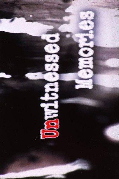 Póster de Unwitnessed Memories