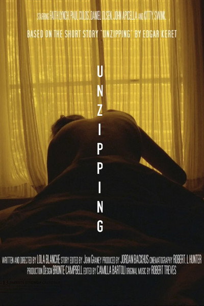 Póster de Unzipping