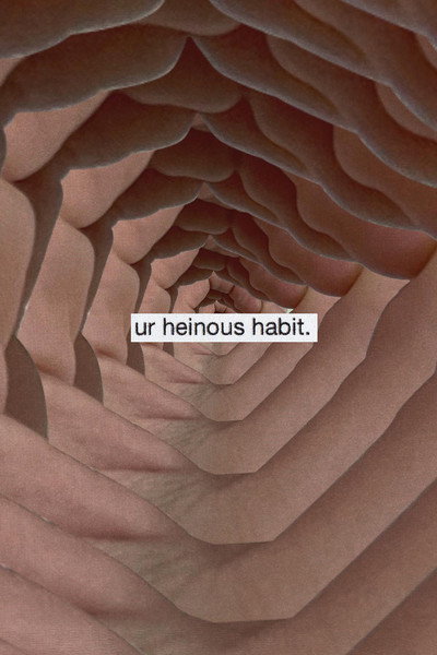 Póster de Ur Heinous Habit