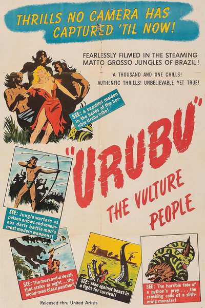 Póster de Urubu