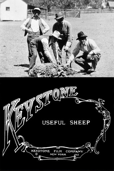 Póster de Useful Sheep