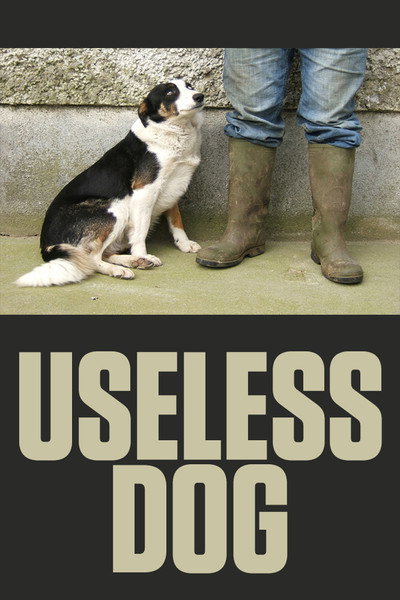 Póster de Useless Dog