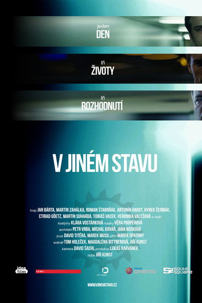 Póster de V jiném stavu