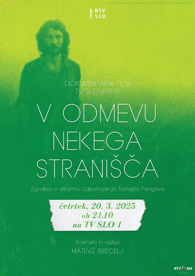 Póster de V odmevu nekega stranisca