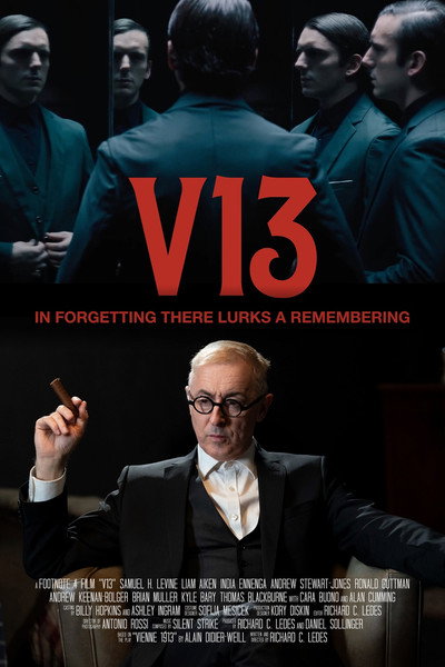 Póster de V13