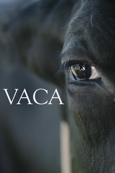 Póster de Vaca