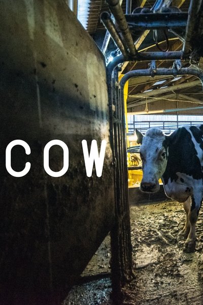 Póster de Vaca