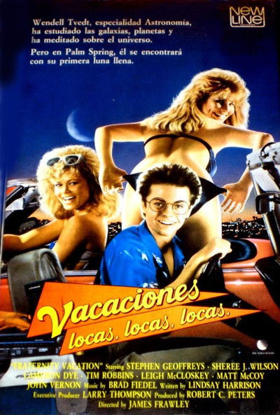 Póster de Vacaciones locas
