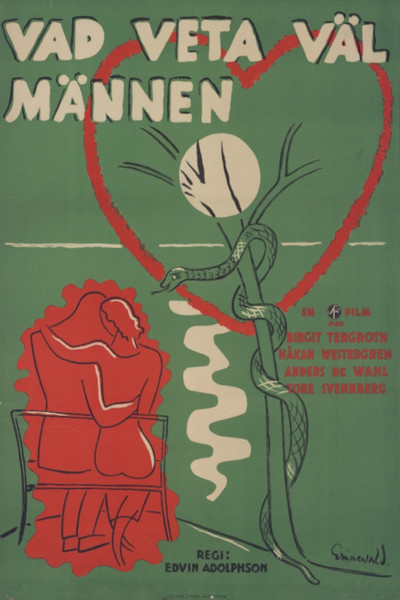 Póster de Vad veta väl männen?