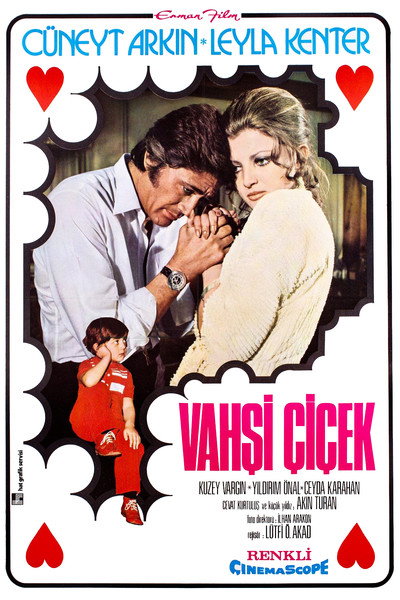 Póster de Vahsi Çiçek