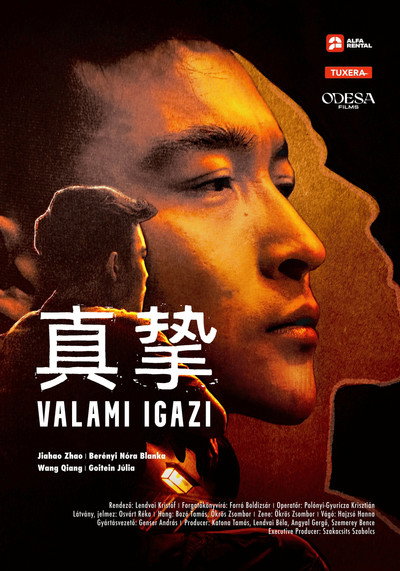 Póster de Valami igazi