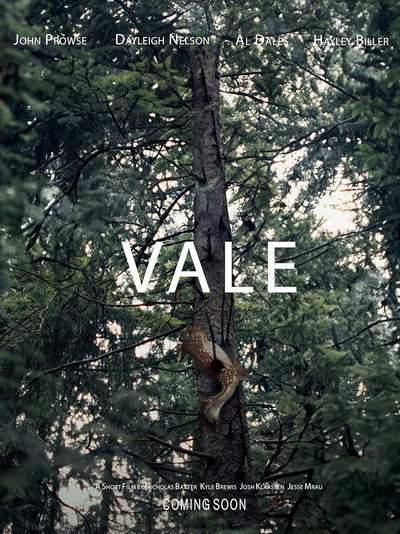 Póster de Vale