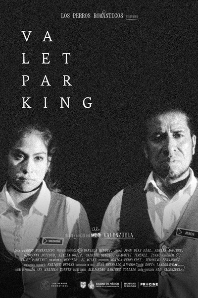 Póster de Valet Parking