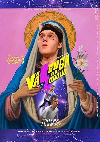Póster de Välguga löödud