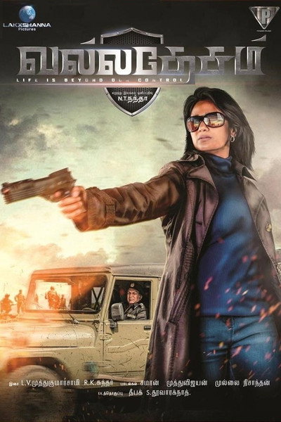 Póster de Valladesam