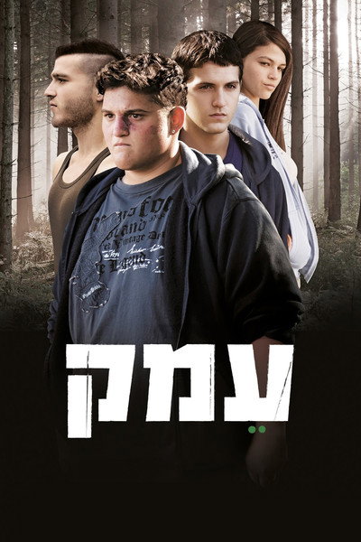 Póster de Valley