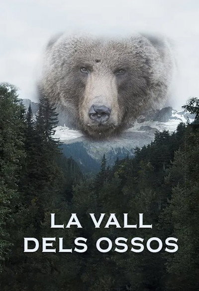 Póster de Valley of the Bears