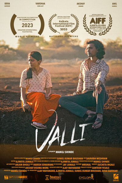 Póster de Valli