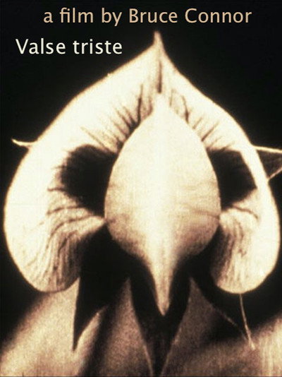 Póster de Valse Triste