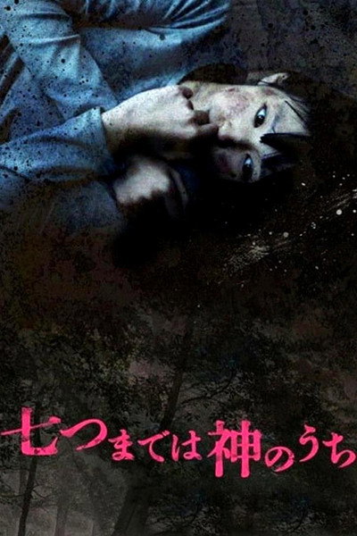 Póster de Vanished Girl in the Woods