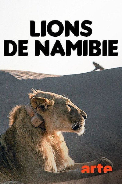 Póster de Vanishing Kings II - Desert Lion Legacy
