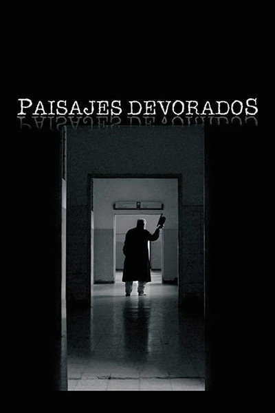 Póster de Vanishing Landscapes