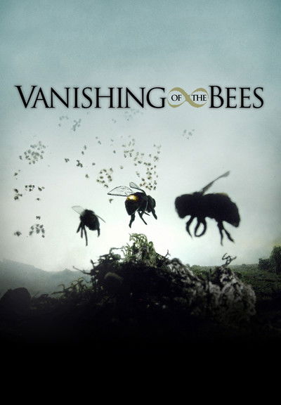 Póster de Vanishing of the Bees