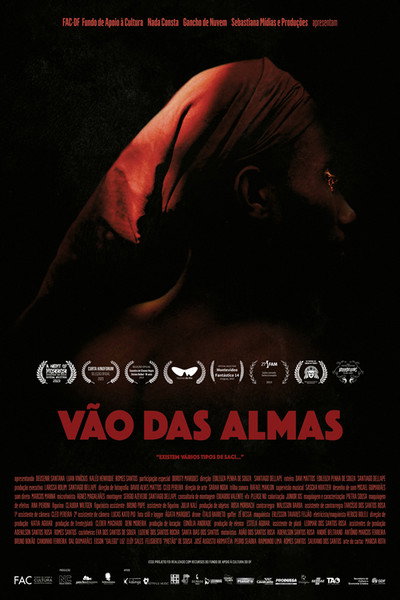 Póster de Vão das Almas