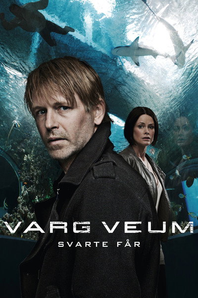 Póster de Varg Veum - Oveja negra