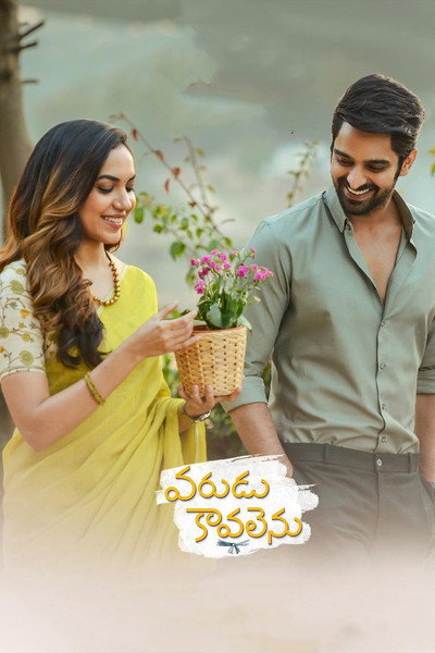 Póster de Varudu Kaavalenu