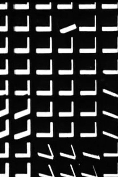 Póster de Vasarely