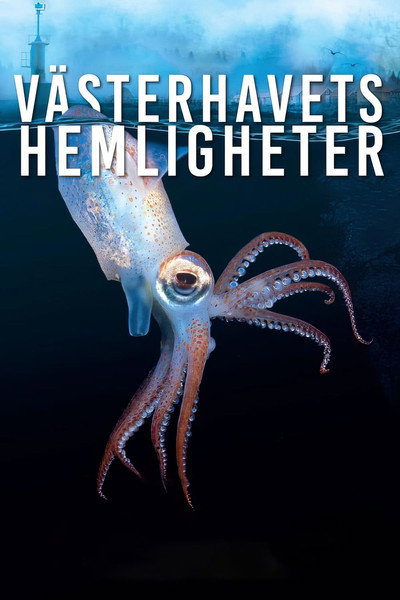 Póster de Västerhavets hemligheter