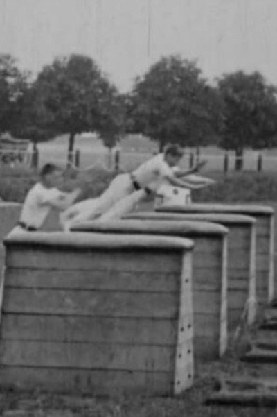 Póster de Vaulting-Horse Display
