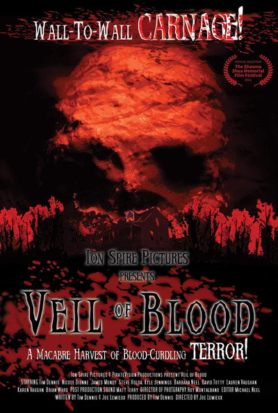 Póster de Veil of Blood