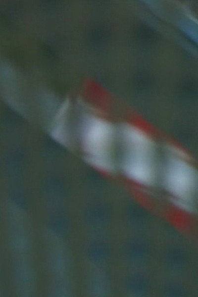 Póster de Veiled Red