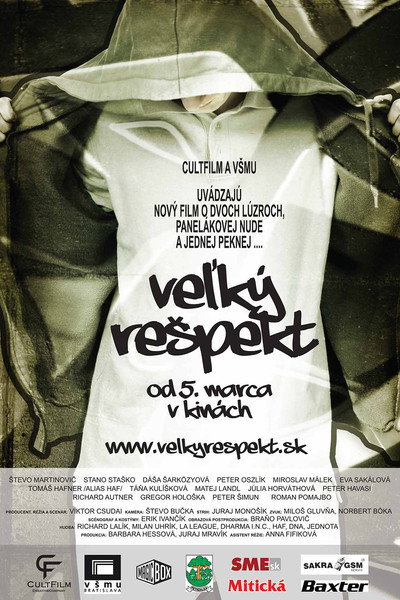 Póster de Velký respekt