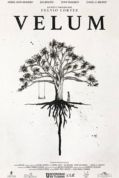 Póster de Velum